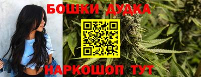 PSILOCYBIN Новокубанск