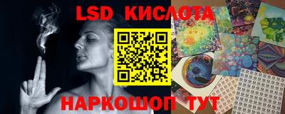PSILOCYBIN Новокубанск