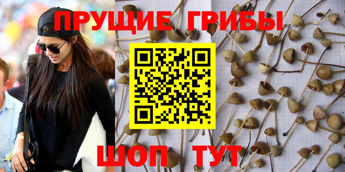 Пермь  Псилоцибиновые грибы Cubensis  Вход с VPN  Галлюциногенные грибы MAGIC MUSHROOMS 